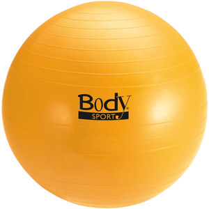 Body Sport Fitness Ball