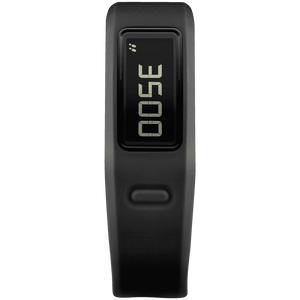 Garmin Vivofit Fitness Band