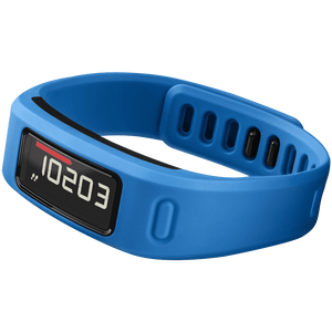 Garmin Vivofit Fitness Band