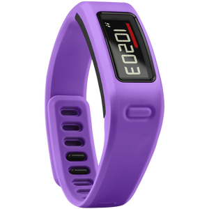 Garmin Vivofit Fitness Band